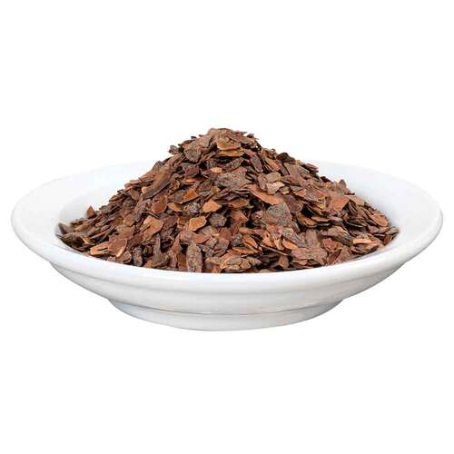 Kakaoschalen Tee Bio Cortex cacao Salus - 2