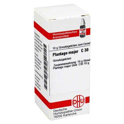 PLANTAGO MAJOR C 30 Globuli - 1