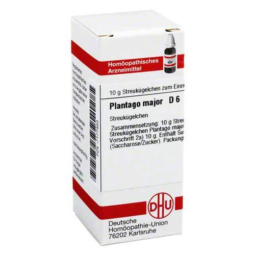 PLANTAGO MAJOR D 6 Globuli - 1