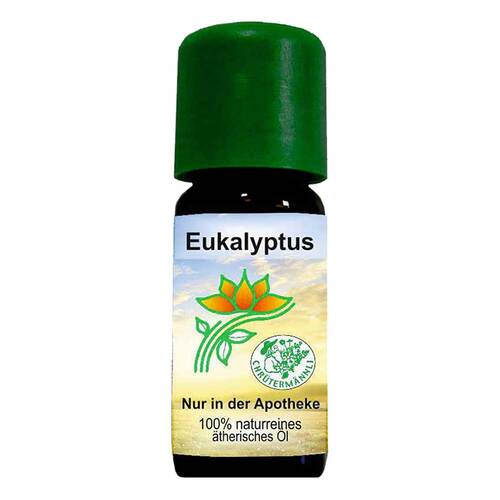 Eukalyptus &Ouml;l Chr&uuml;term&auml;nnli - 1