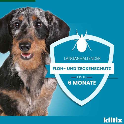 Kiltix Halsband f&uuml;r kleine Hunde - 5