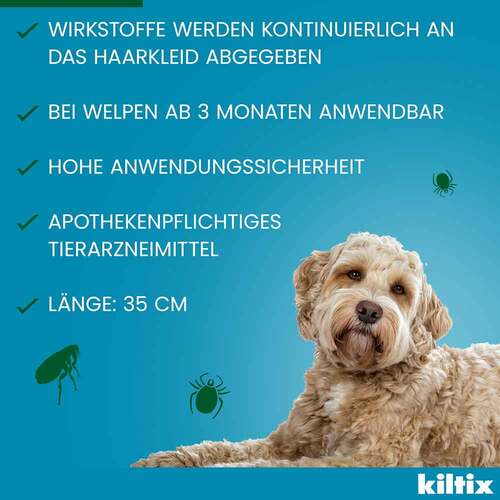 Kiltix Halsband f&uuml;r kleine Hunde - 6