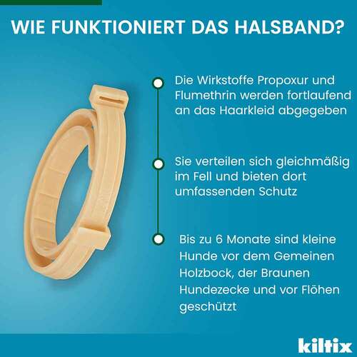 Kiltix Halsband f&uuml;r kleine Hunde - 8
