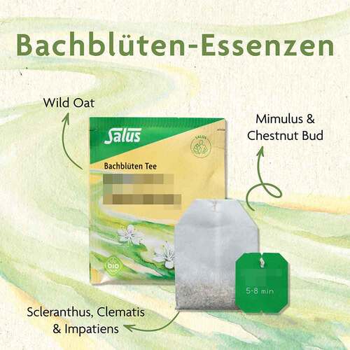 Bachbl&uuml;ten Tee Klarheit&Zentrierung Bio Salus Fbtl - 2
