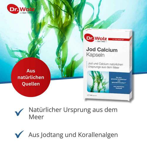 Jod Calcium Kapseln Dr.Wolz - 2