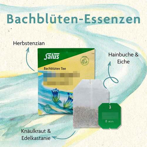 Bachbl&uuml;ten Tee Motivation&Zuversicht Bio Salus Fbt - 2