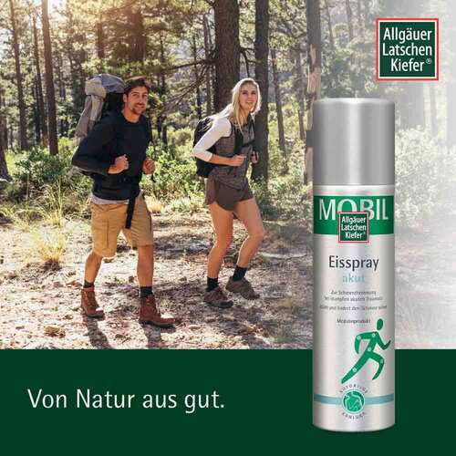 Allg&auml;uer Latschenkiefer mobil Eisspray akut - 2