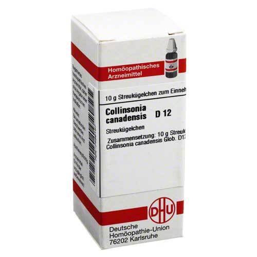Collinsonia canadensis D 12 Globuli - 1