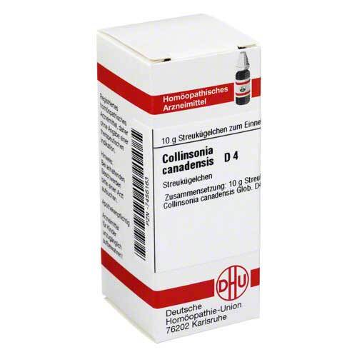 Collinsonia canadensis D 4 Globuli - 1