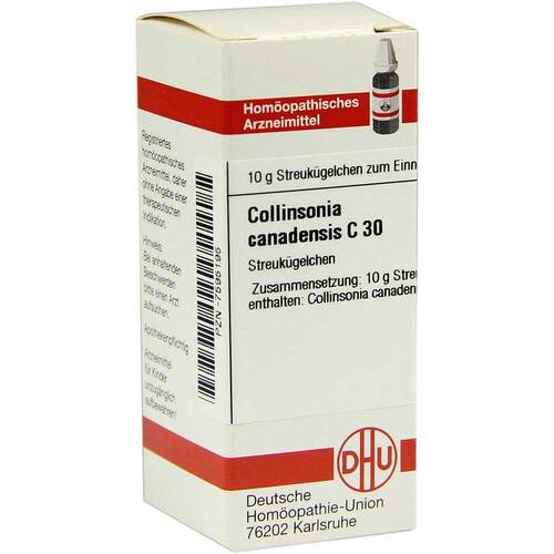 Collinsonia canadensis C 30 Globuli - 1