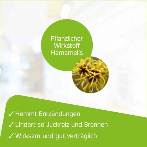 Hametum H&auml;morrhoiden Z&auml;pfchen - 3