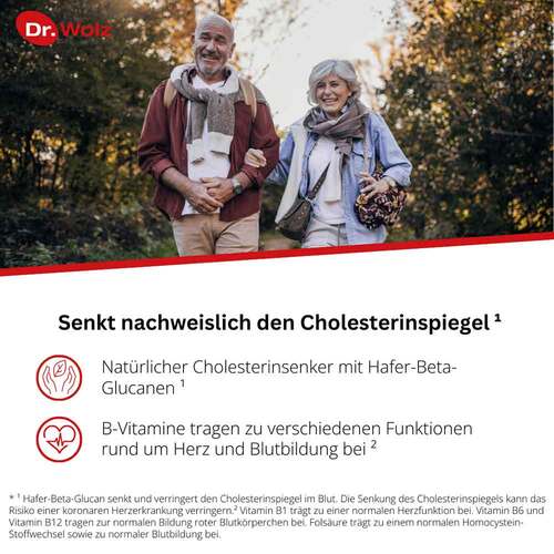 Cholesterinreduktion Dr.Wolz Pulver - 2