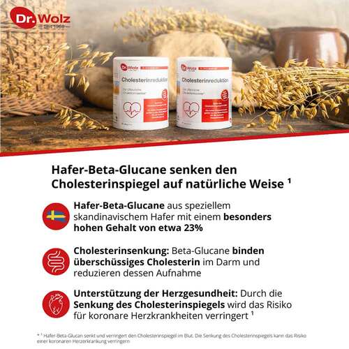 Cholesterinreduktion Dr.Wolz Pulver - 3