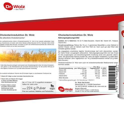 Cholesterinreduktion Dr.Wolz Pulver - 5