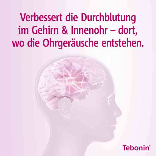 Tebonin intens 120 mg Filmtabletten - 3