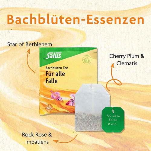 Bachbl&uuml;ten Tee F&uuml;r alle F&auml;lle Bio Salus Filterbeutel  - 2