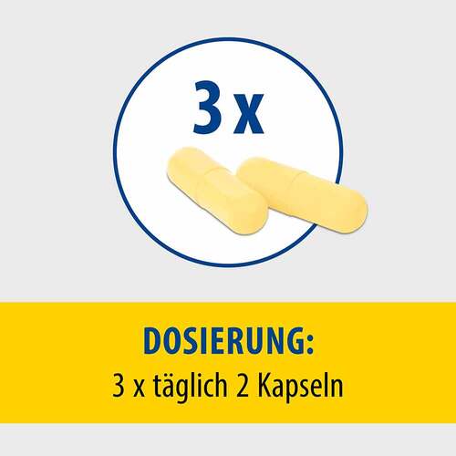 Pollstimol Hartkapseln - 6