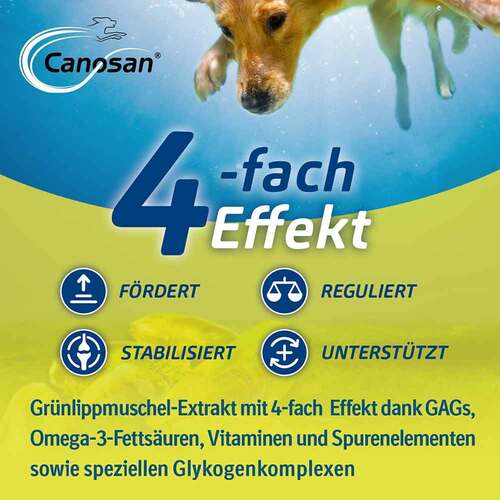 Canosan Konzentrat vet. (f&uuml;r Tiere) - 6
