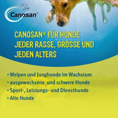 Canosan Konzentrat vet. (f&uuml;r Tiere) - 3