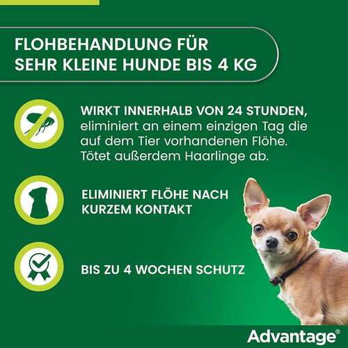 Advantage 40 L&ouml;sung f&uuml;r Hunde bis 4 kg - 2