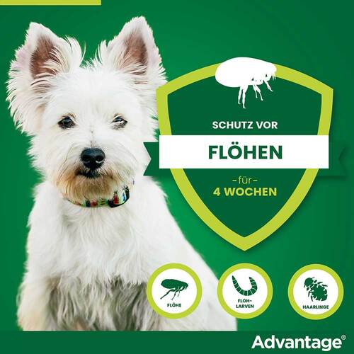 Advantage 40 L&ouml;sung f&uuml;r Hunde bis 4 kg - 3