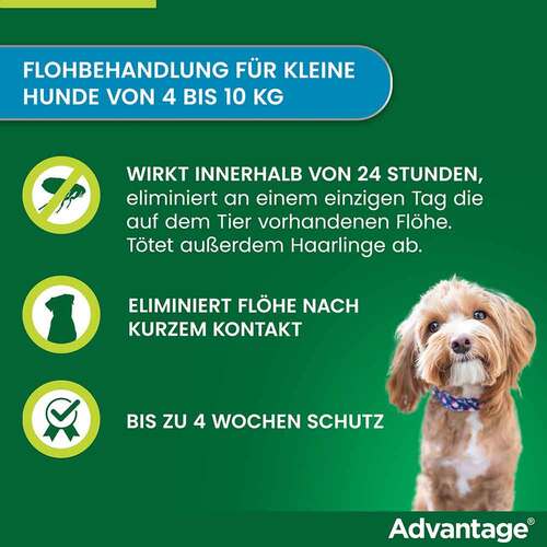 Advantage 100 L&ouml;sung f&uuml;r Hunde 4-10 kg - 2