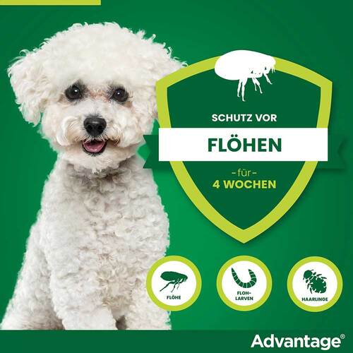 Advantage 100 L&ouml;sung f&uuml;r Hunde 4-10 kg - 3