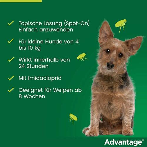 Advantage 100 L&ouml;sung f&uuml;r Hunde 4-10 kg - 4