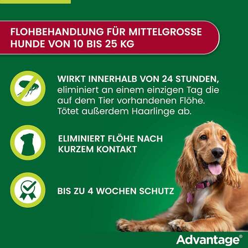 Advantage 250 L&ouml;sung f&uuml;r Hunde 10-25 kg - 2