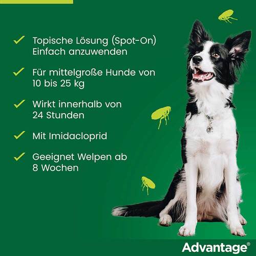 Advantage 250 L&ouml;sung f&uuml;r Hunde 10-25 kg - 4