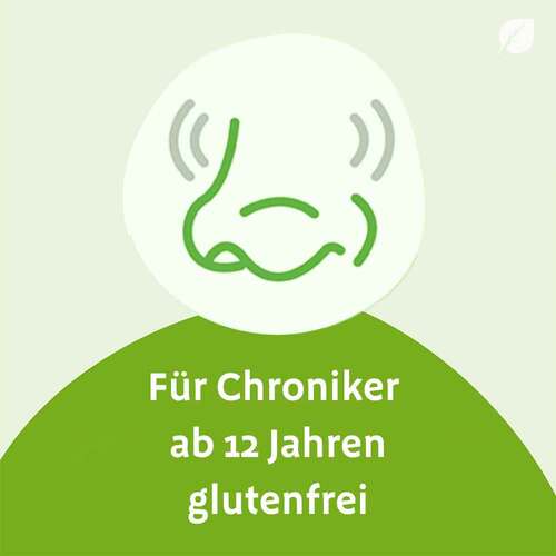 Sinupret forte &uuml;berzogene Tabletten - 4
