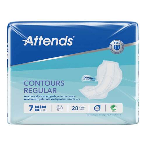 ATTENDS Contours Regular 7 Vorlage - 1