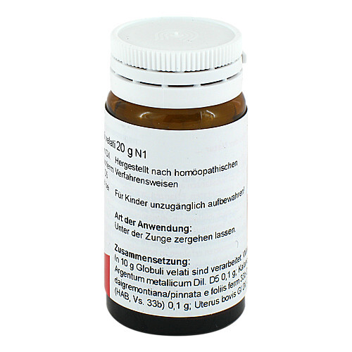 BRYOPHYLLUM COMP.Globuli - 2