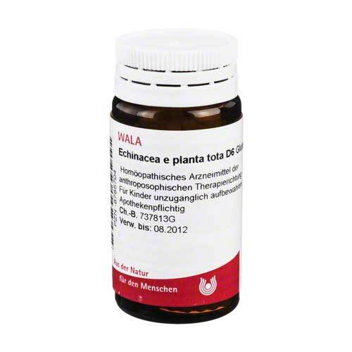 Echinacea E planta tota D 6 Globuli - 1