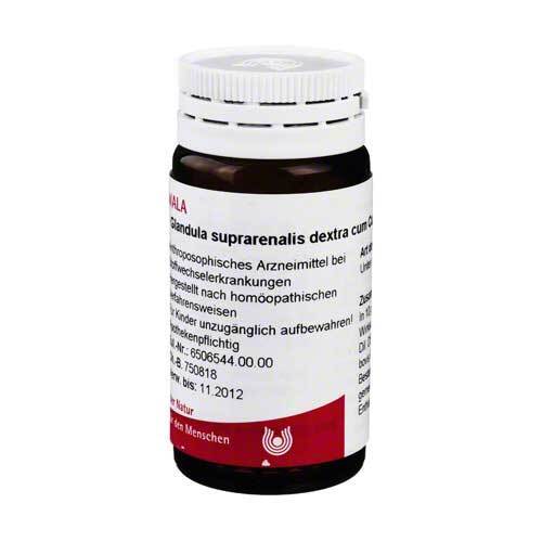 Glandula Suprarenalis dextra cum Cupro Globuli - 1