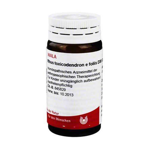 Rhus Toxicodendronicodendron E foliis D 30 Globuli - 1
