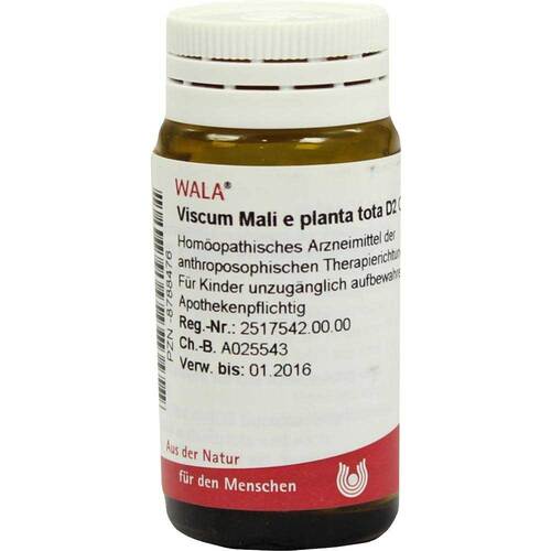 Viscum Mali e planta tota D 2 Globuli - 1