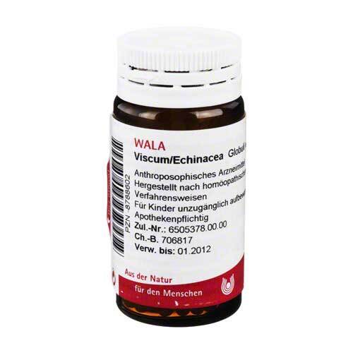 VISCUM ECHINACEA Globuli - 1