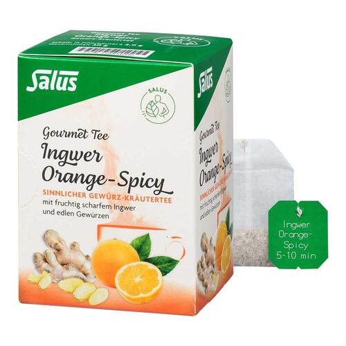 Ingwer Orange Spicy Tee Salus Filterbeutel - 1