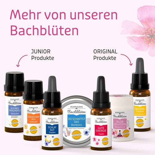 Bachbl&uuml;ten Murnauers Bleib gelassen Kaugummi - 4