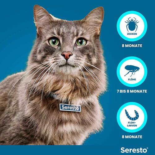 Seresto Halsband f&uuml;r Katzen - 4