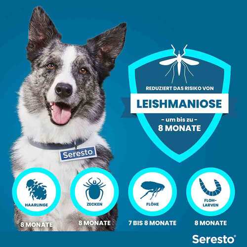 Seresto 4,50g + 2,03g Halsband f&uuml;r Hunde ab 8kg - 4