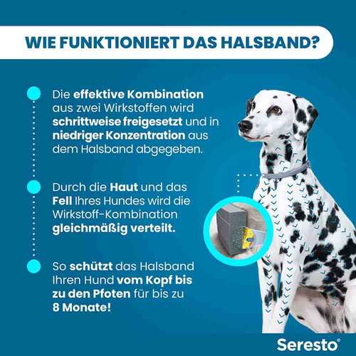 Seresto 4,50g + 2,03g Halsband f&uuml;r Hunde ab 8kg - 7