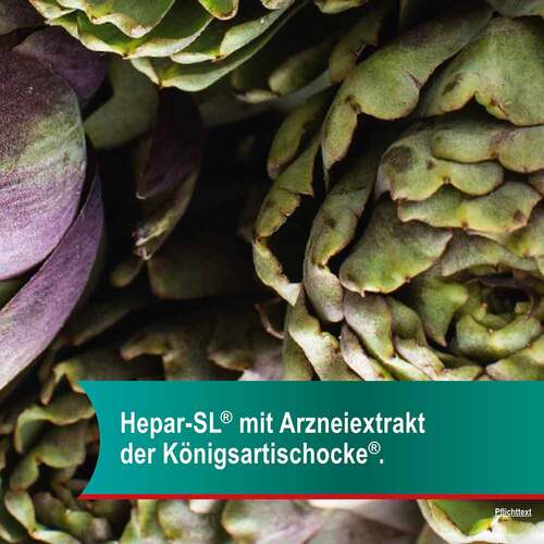 Hepar-SL 320 mg Hartkapseln - 6