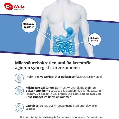 Darm Activ Dr.Wolz Pulver - 4