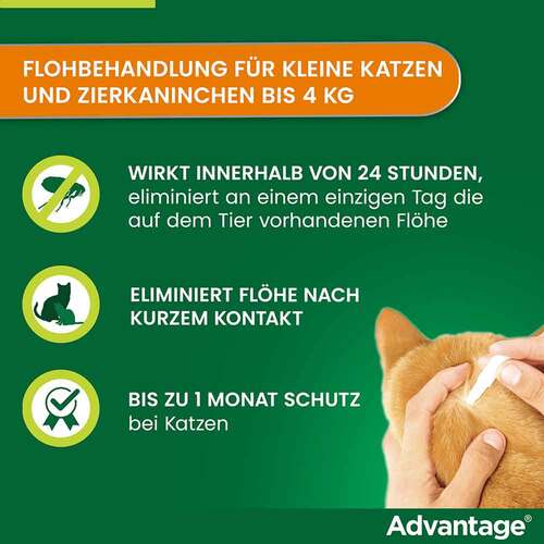 Advantage 40 mg L&ouml;sung f&uuml;r kl.Katzen / kl.Zierkaninchen - 2