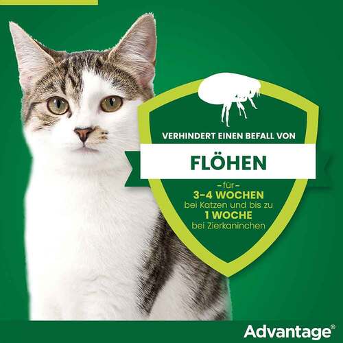 Advantage 40 mg L&ouml;sung f&uuml;r kl.Katzen / kl.Zierkaninchen - 3