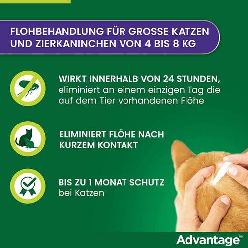 Advantage 80 mg f&uuml;r gr&ouml;&szlig;e Katzen und gr&ouml;&szlig;e Zierkaninchen - 2
