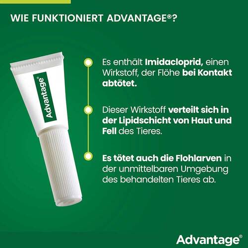Advantage 80 mg f&uuml;r gr&ouml;&szlig;e Katzen und gr&ouml;&szlig;e Zierkaninchen - 6