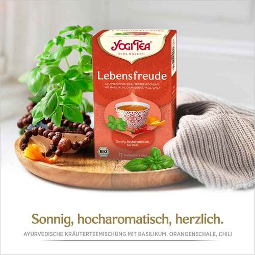 Yogi Tea Lebensfreude Bio Filterbeutel - 2